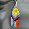 The Progress Flag Earrings